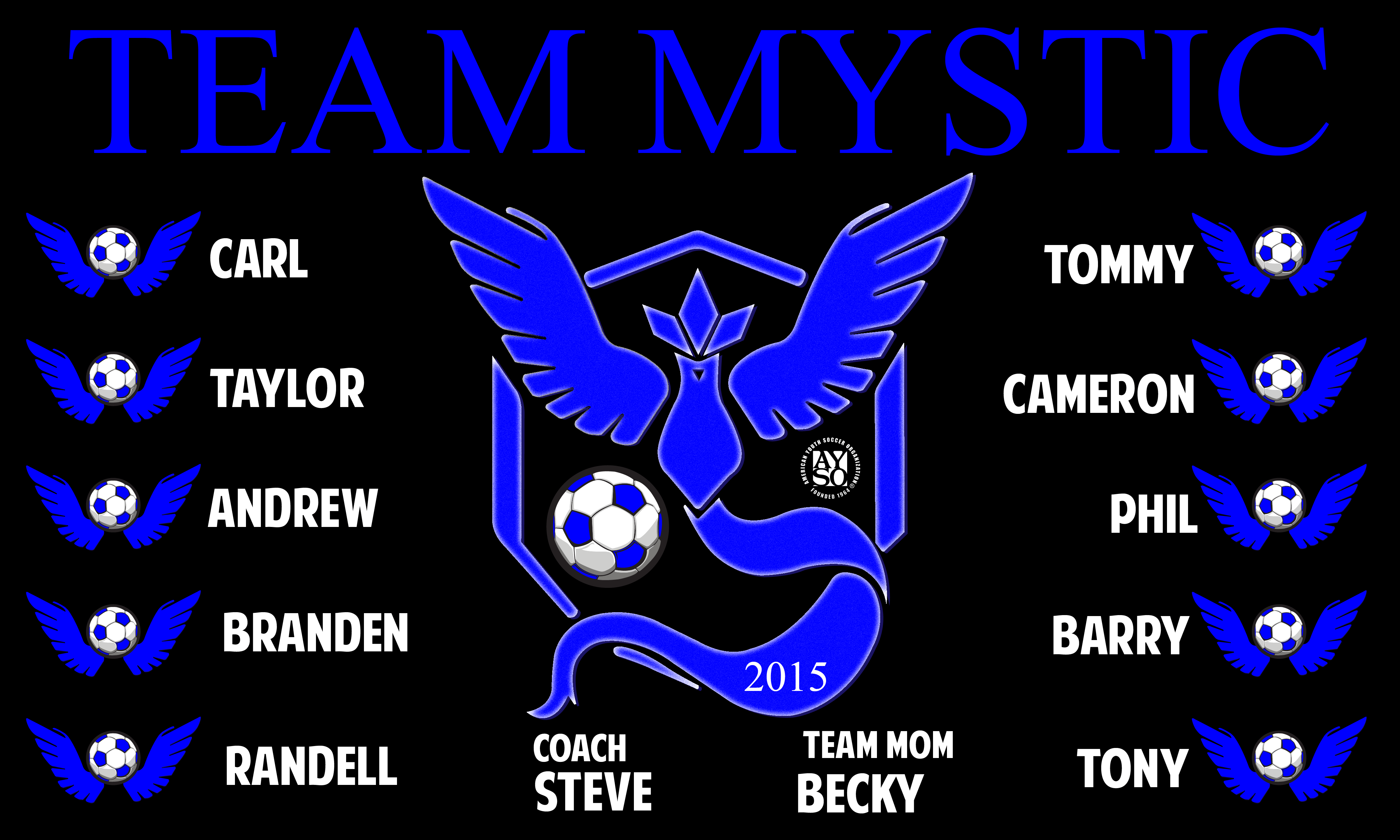 B1622 Team Mystic 3x5 Banner